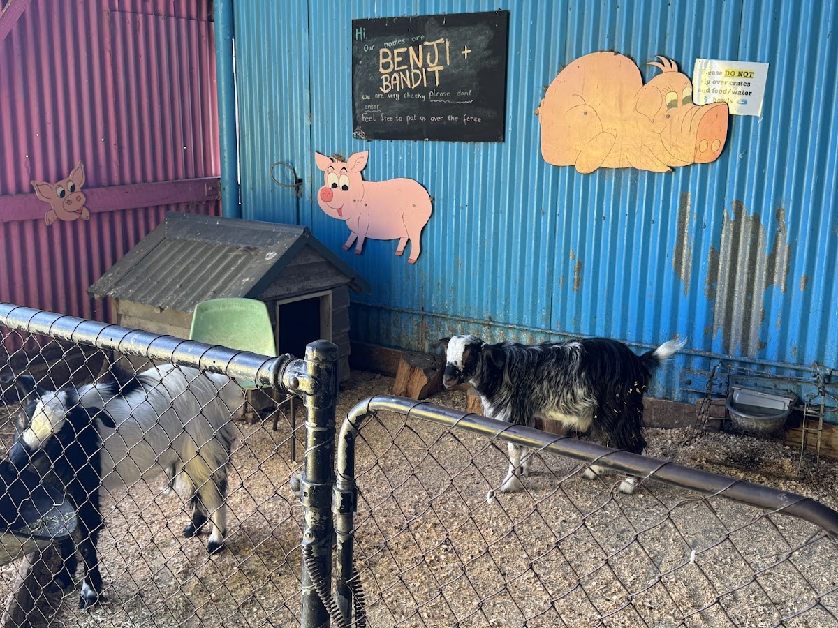 Chesterfield Farm Homestead Cafe Photo 4