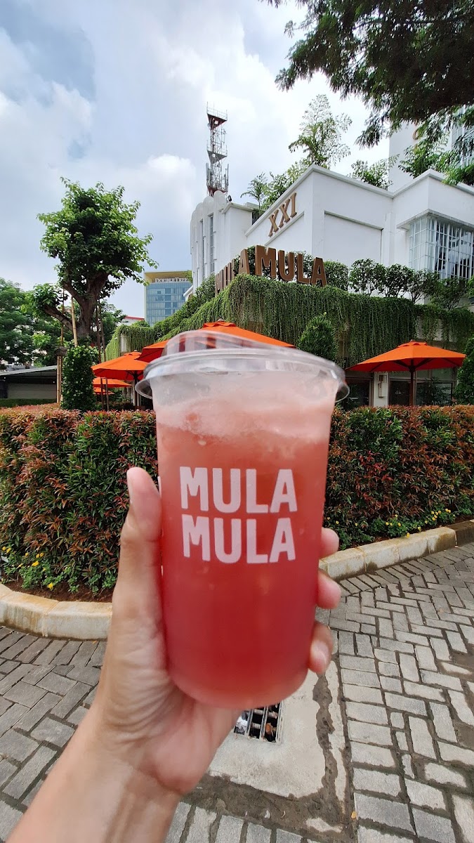 MULAMULA Cafe Photo 9