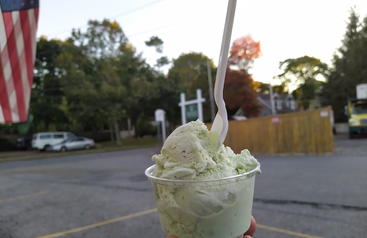 Captain Dusty's Ice Cream Photo 8