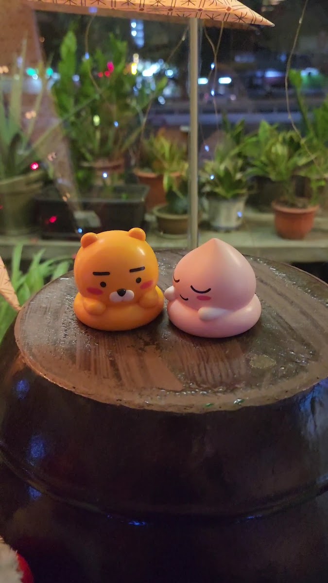 Ajoomma Pocha Photo 2