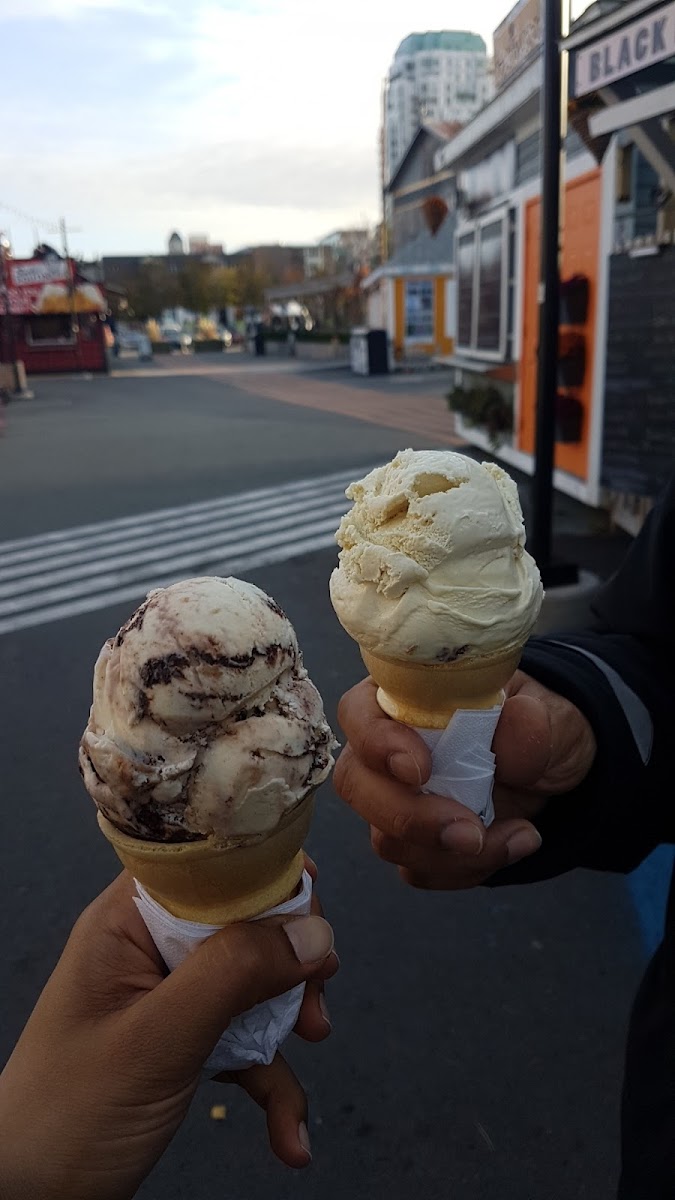 Black Bear Ice Cream Photo 10