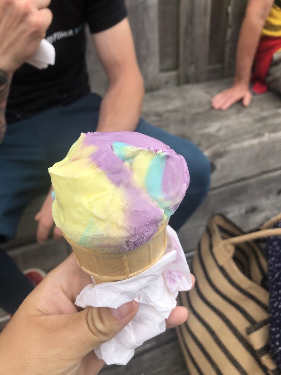 Black Bear Ice Cream Photo 5
