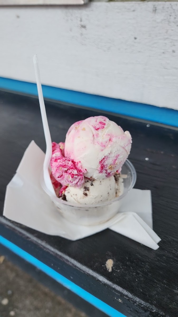 Black Bear Ice Cream Photo 7