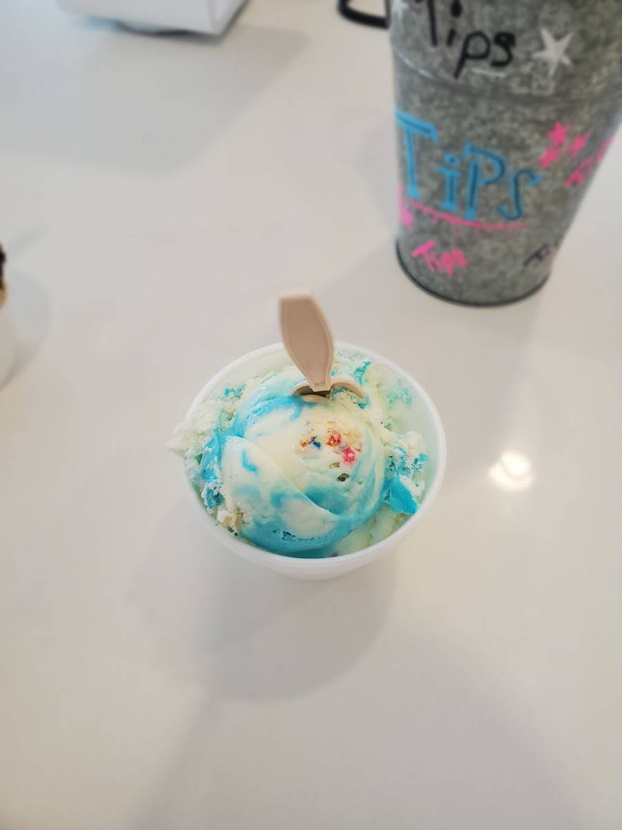 SWEET CONE ALABAMA ICE CREAM Photo 10