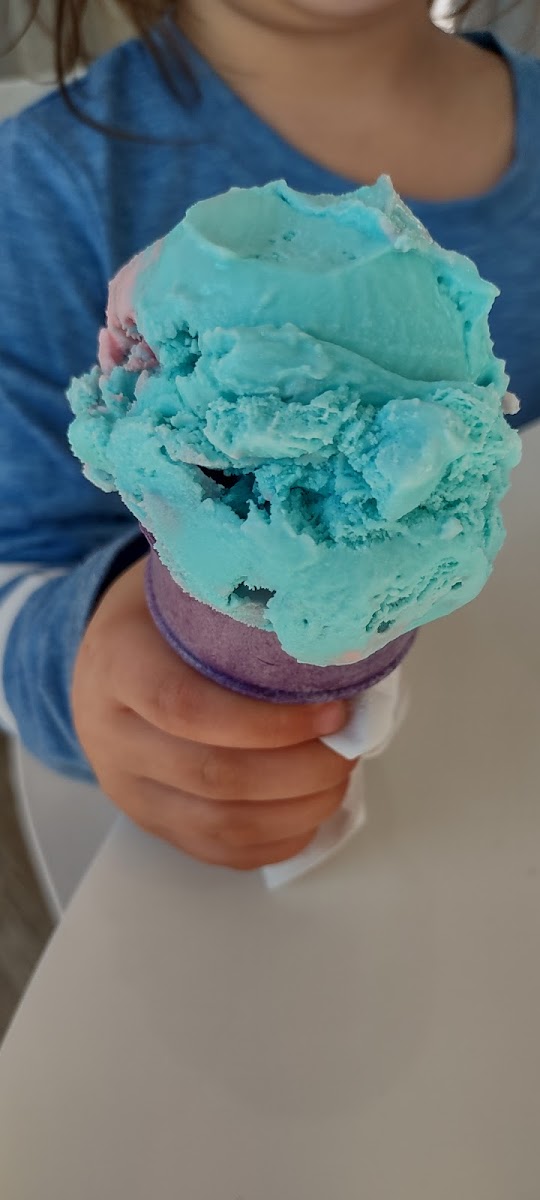 SWEET CONE ALABAMA ICE CREAM Photo 6