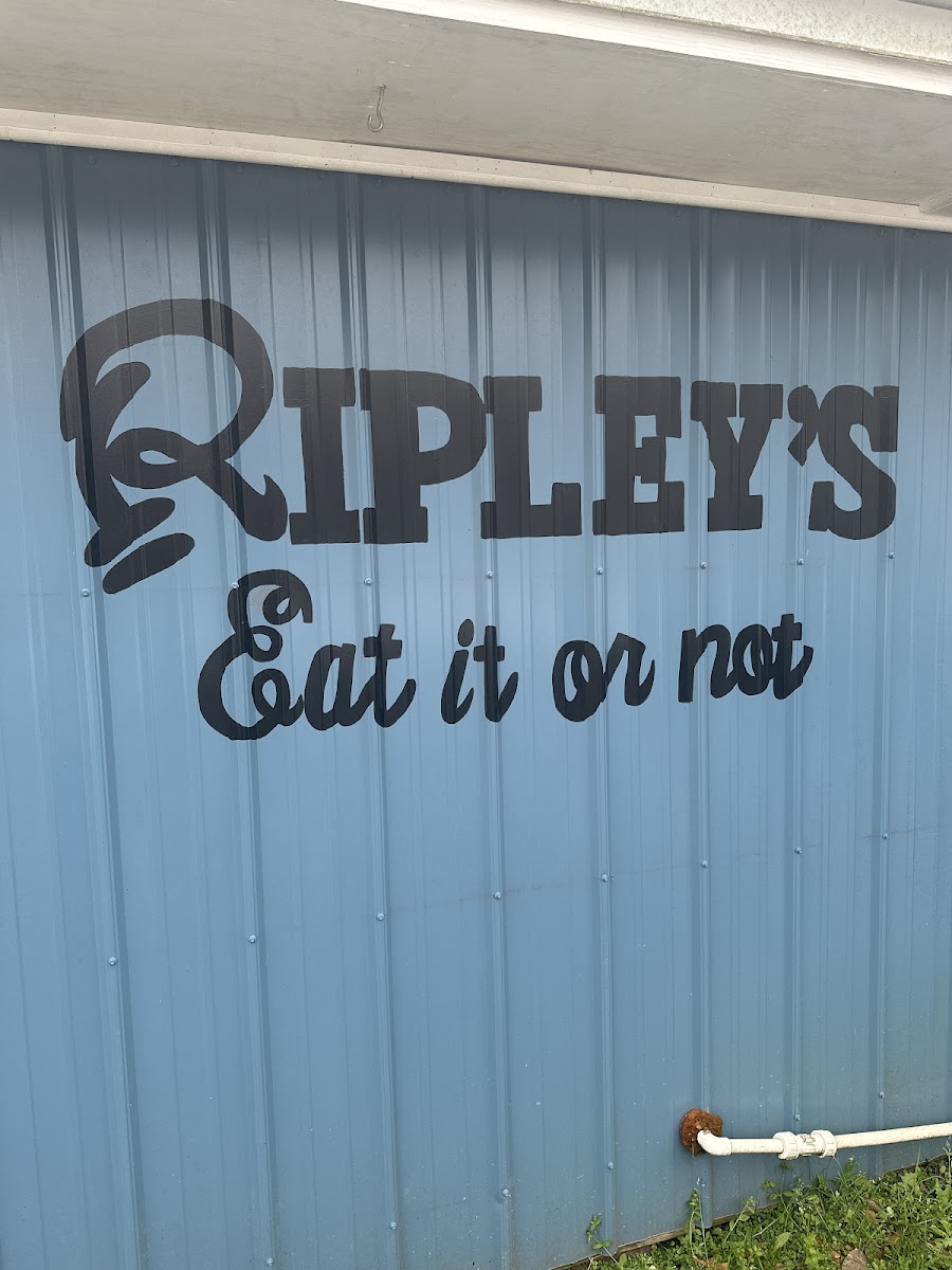 Ripley’s Photo 10