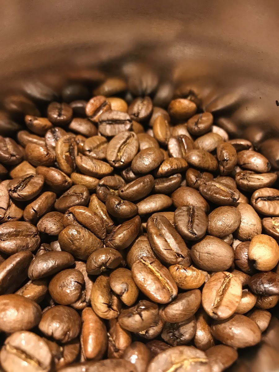 Fresh Coffee beans and tea house Photo 4