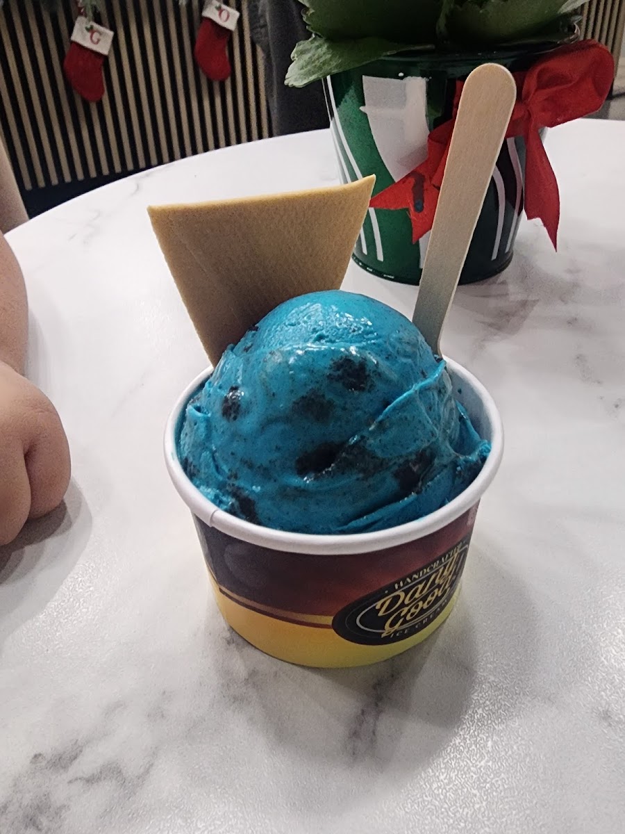 Dang Good Ice Cream Photo 10