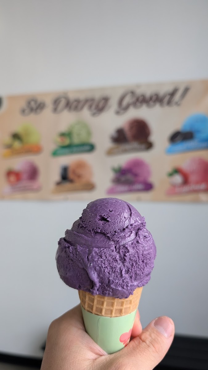 Dang Good Ice Cream Photo 5