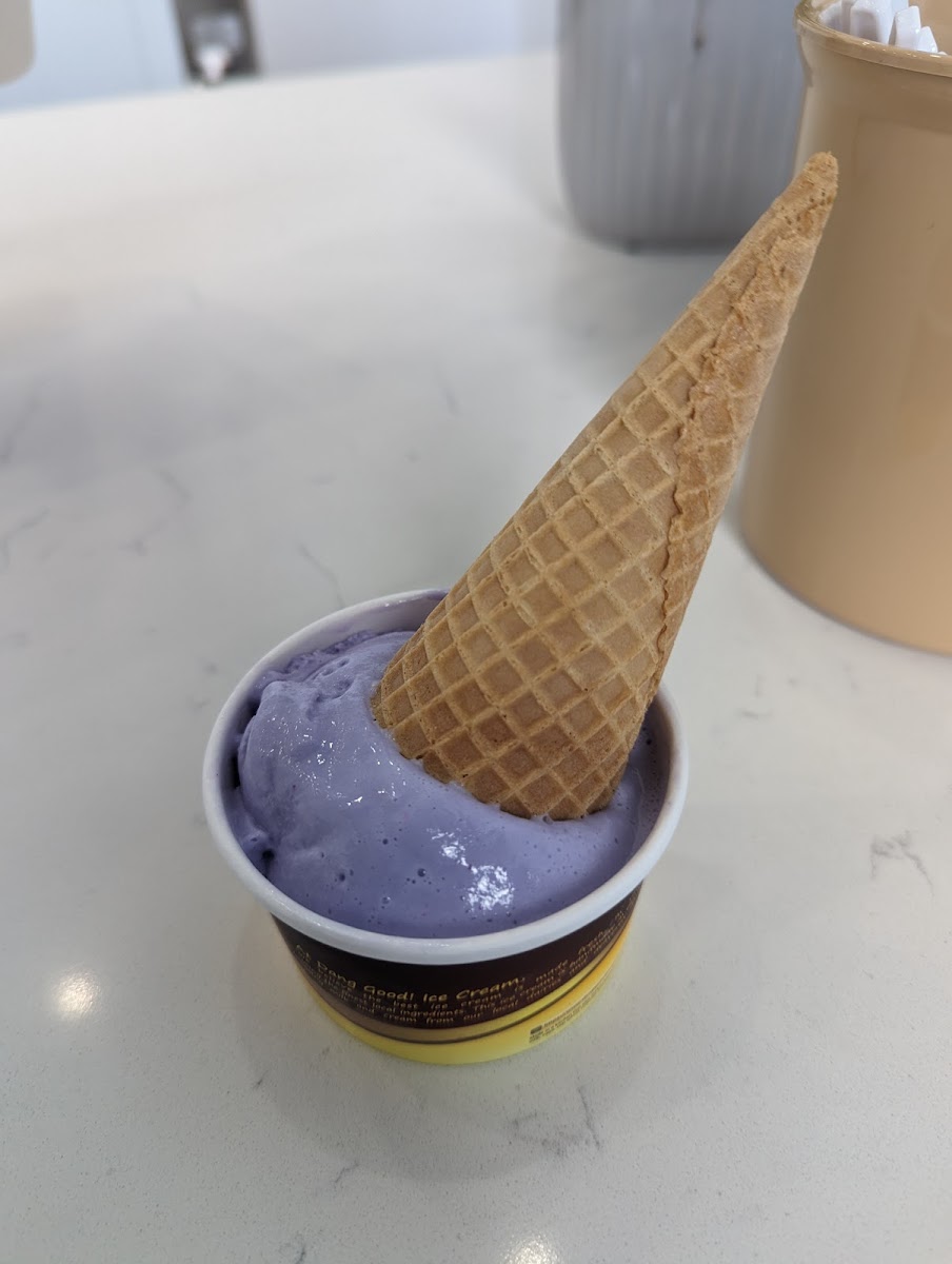 Dang Good Ice Cream Photo 8