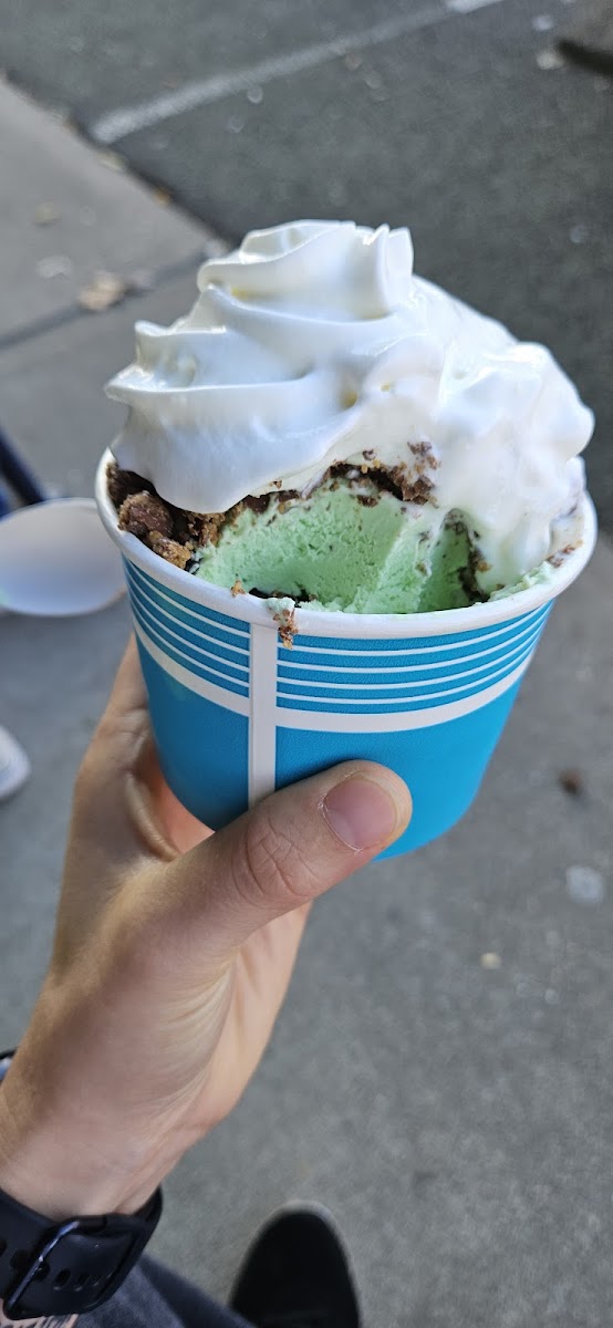 Bristol Scoops Photo 6