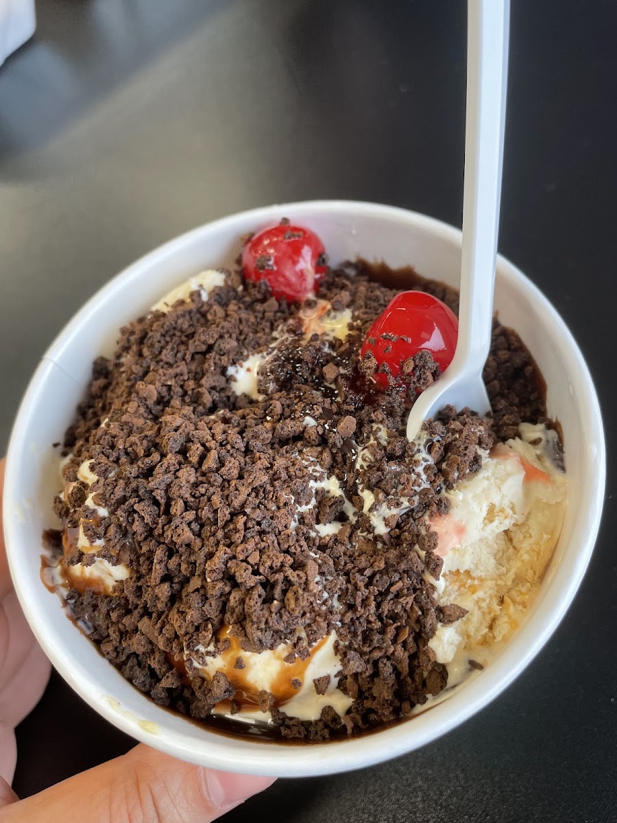 Bristol Scoops Photo 8