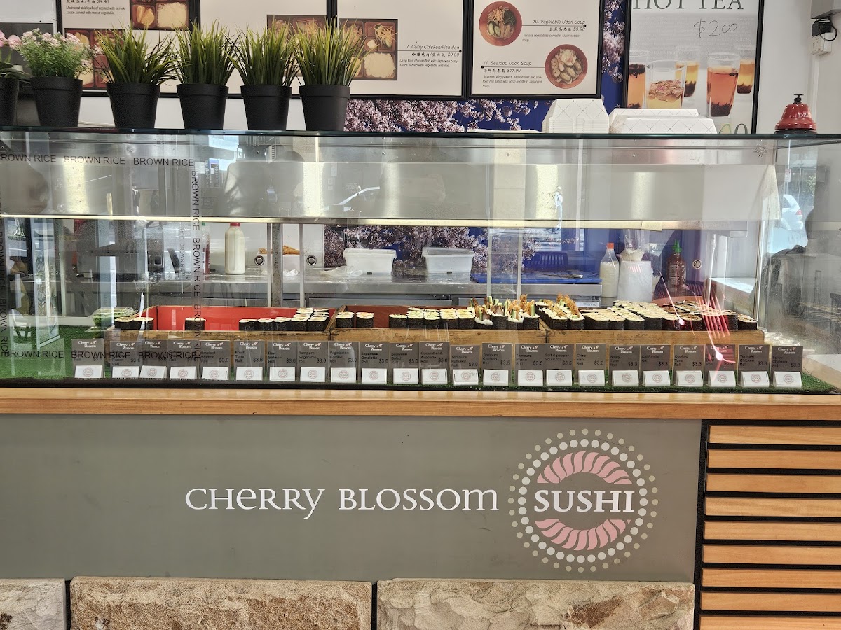 Cherry Blossom Sushi Bar Photo 2