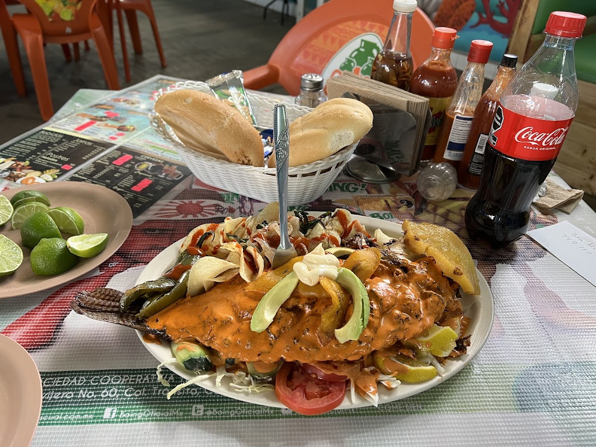 Las Ranas Calpulalpan Photo 3