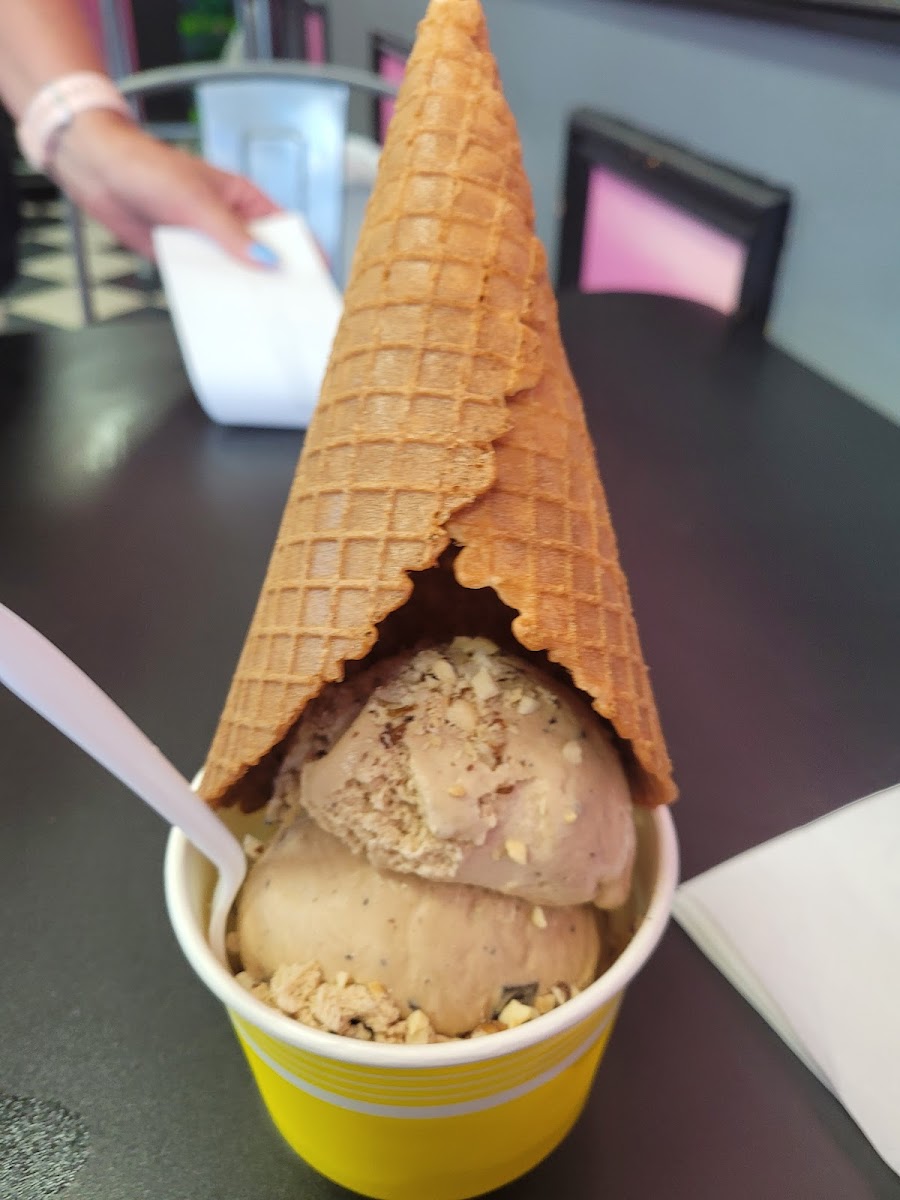 Crave Photo 7