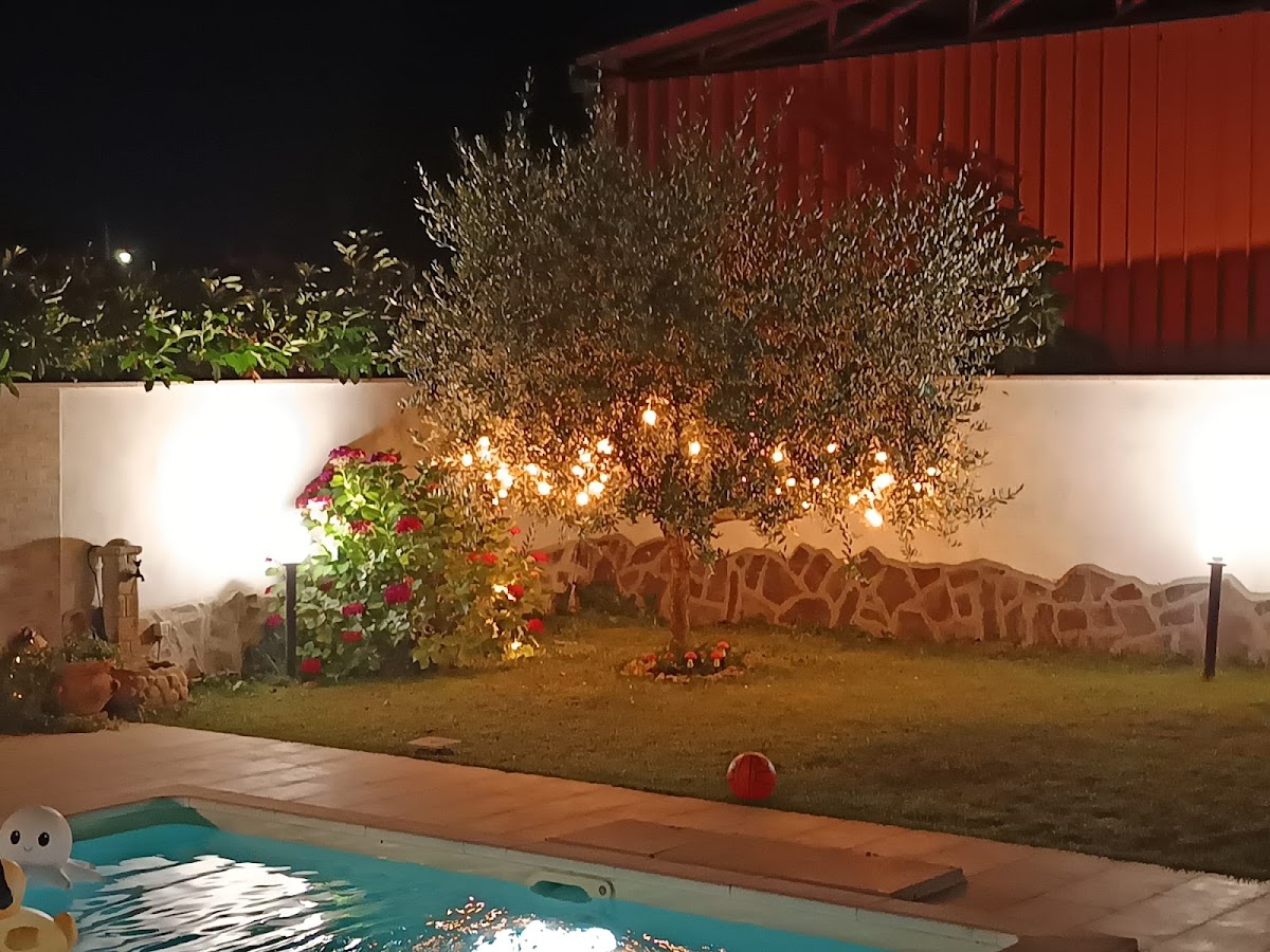 Home Restaurant 'Villa Sara' Photo 4