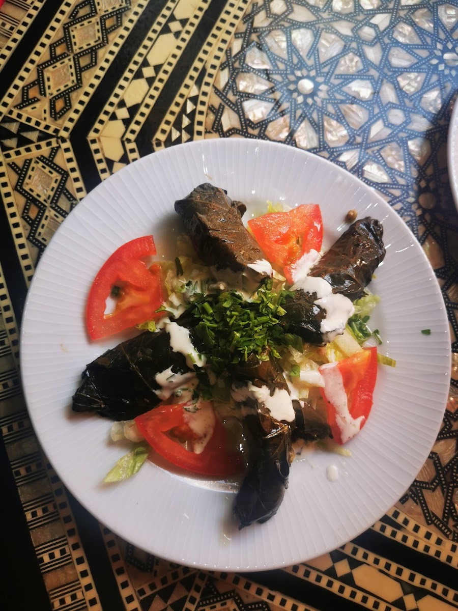Comida Arabe Shaorma Photo 5