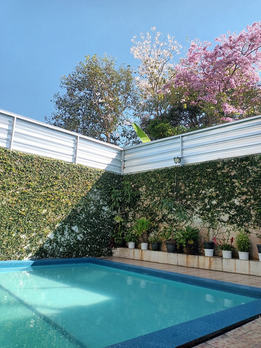 Green Cafe & Pool Photo 7