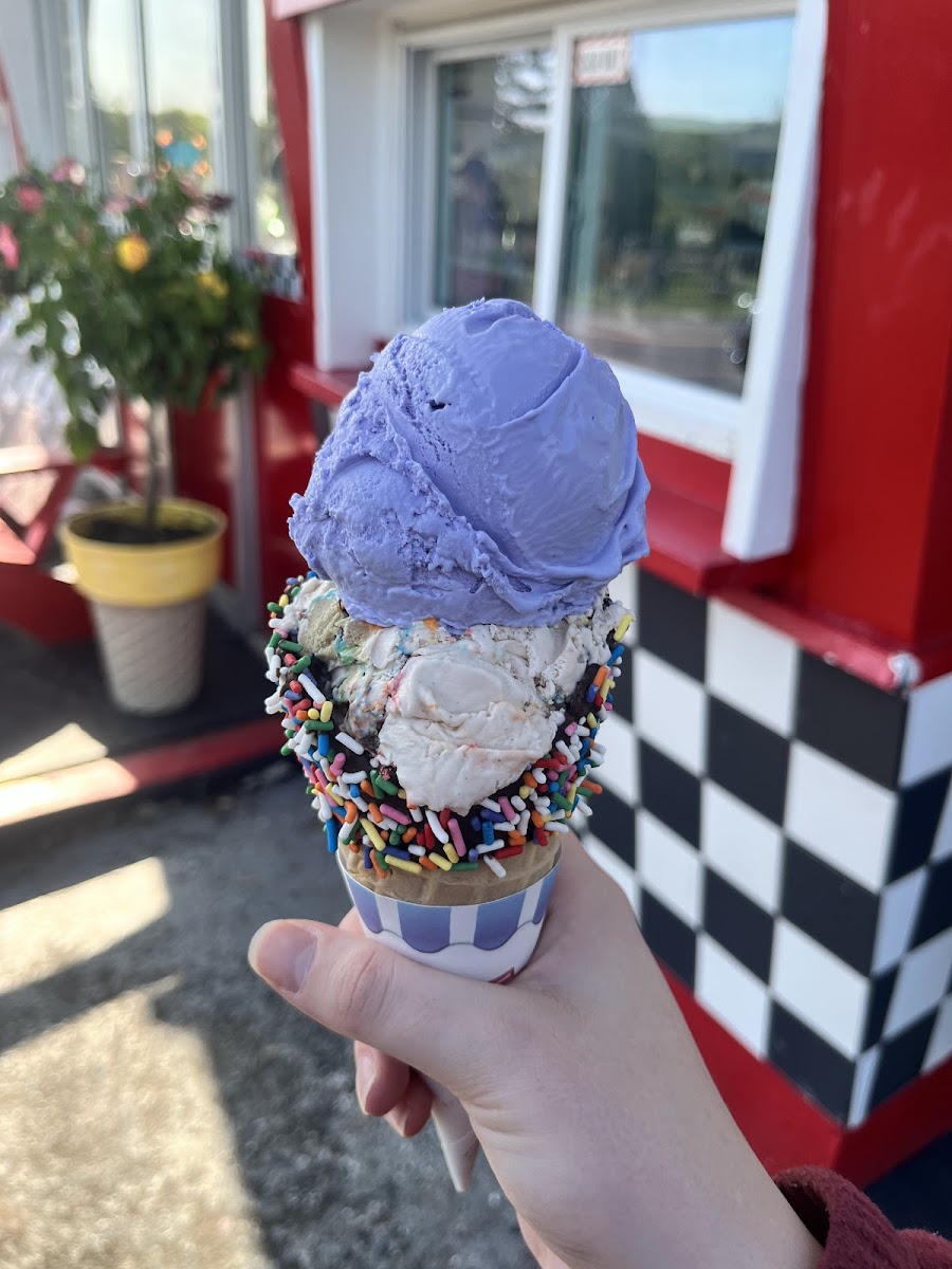 Sugar Lips Ice Cream Shop Photo 4