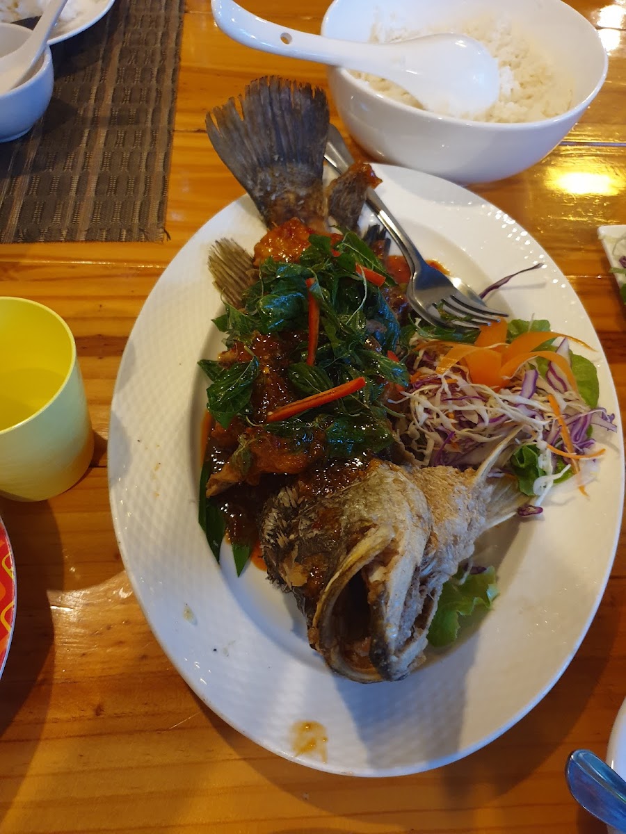 Takawa Halal Cuisine @ Chiang Mai Photo 8