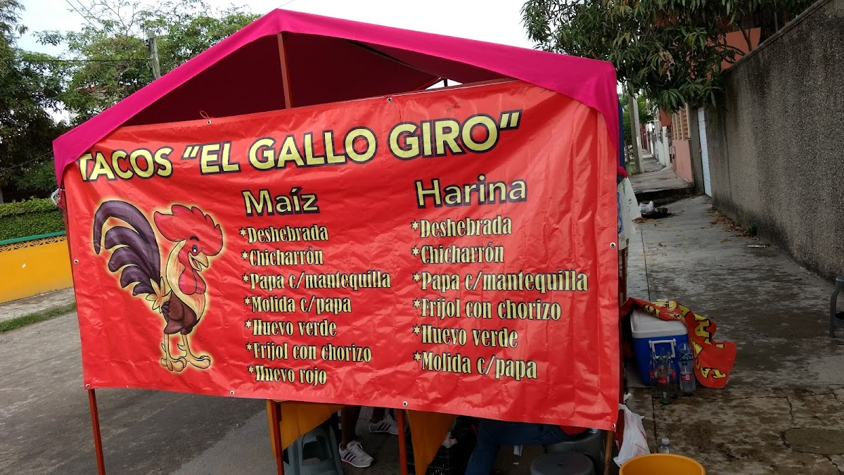Tacos El Gallo Giro Photo 4