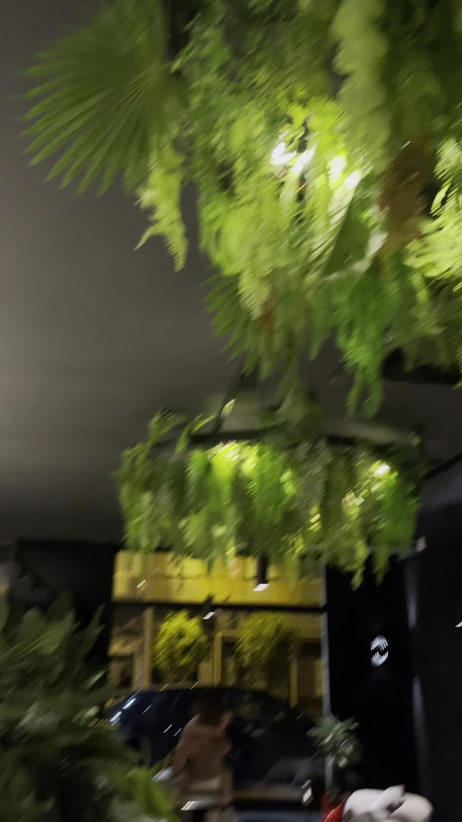 Ristorante Dozo Sushi Cisterna Photo 7