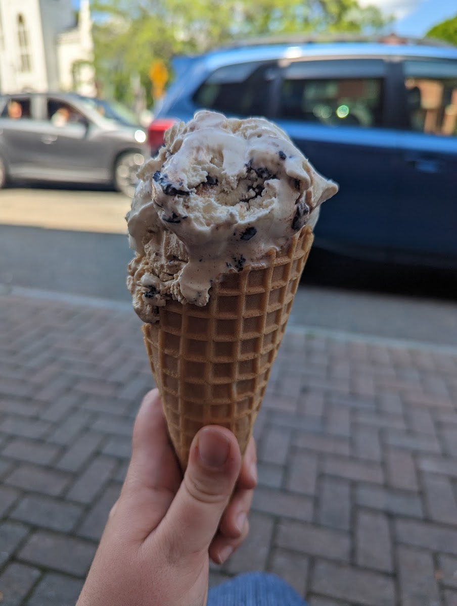 Cows Rock Ice Cream Photo 7