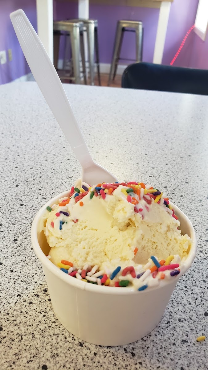 Cows Rock Ice Cream Photo 8