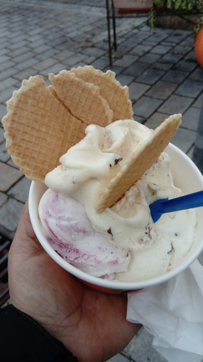 Richis Eis Photo 5
