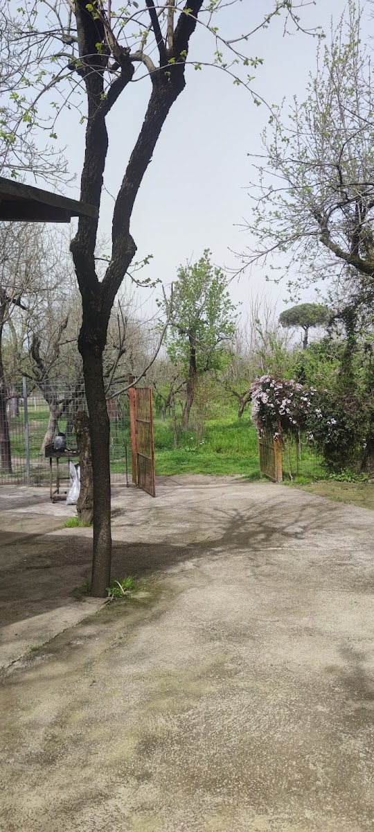 Masseria Cortile Grande Photo 3