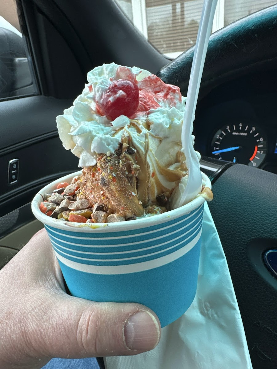 Squires Dairy Delight Photo 9