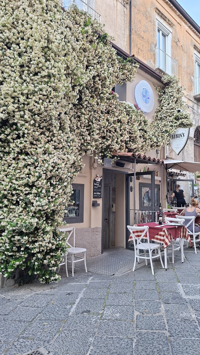 ALBIN’S RESTAURANT Photo 2