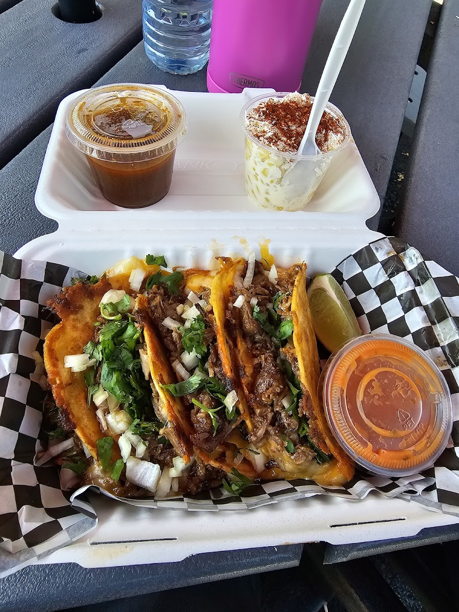 True North Tacos Photo 4