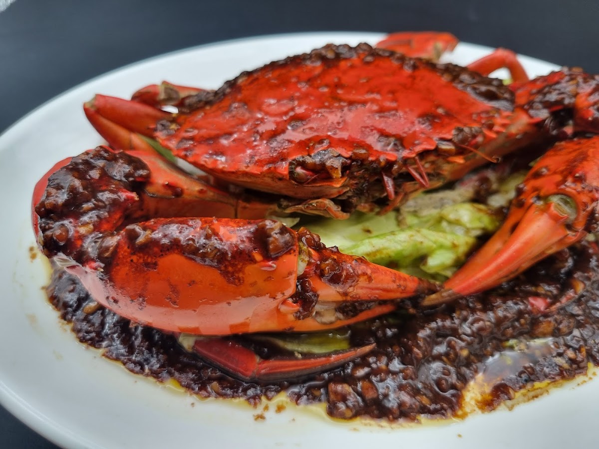 Jia Wee Seafood House • 佳味海鲜园 Photo 8