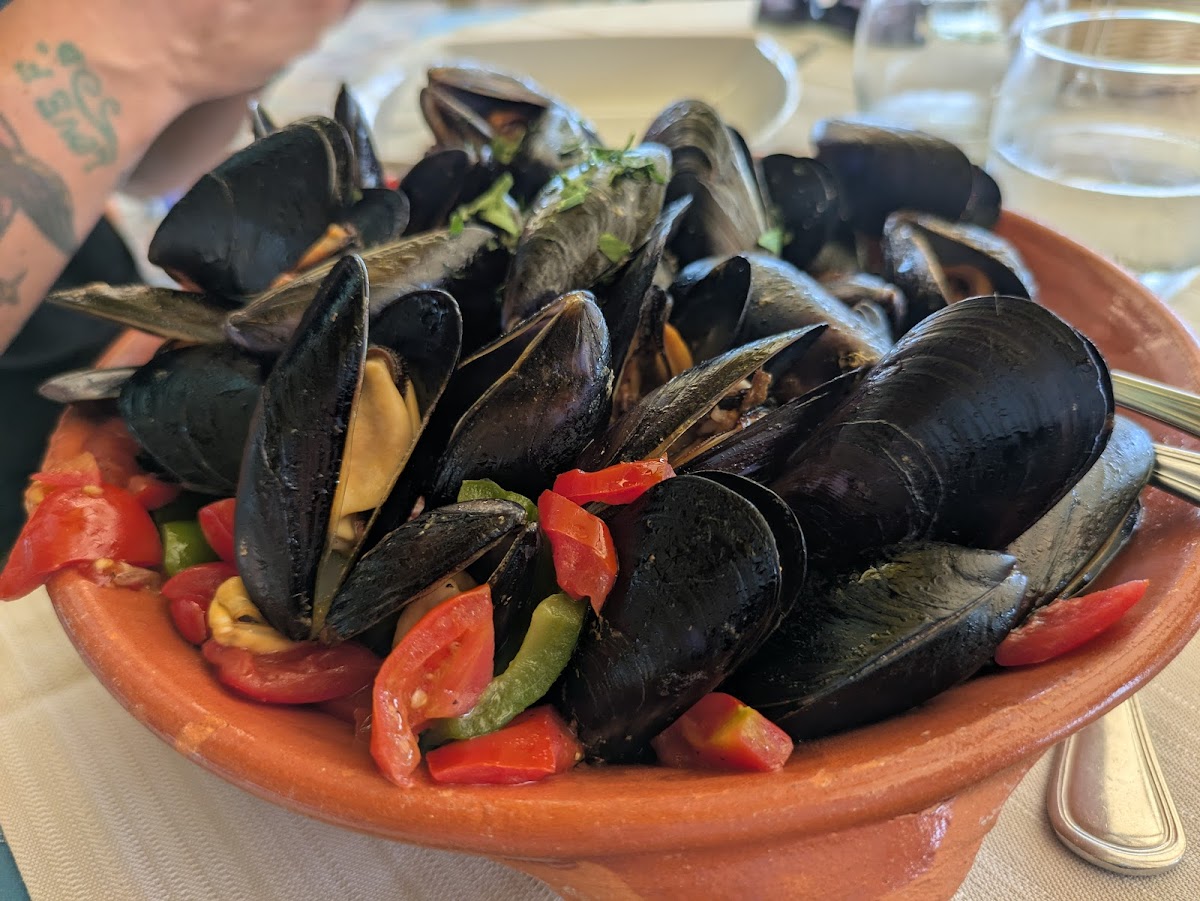 La Conchiglia Photo 4