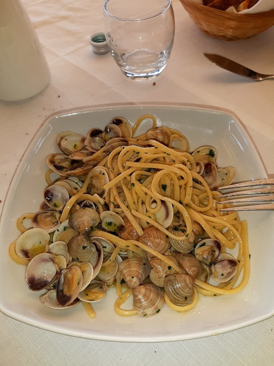 La Conchiglia Photo 8