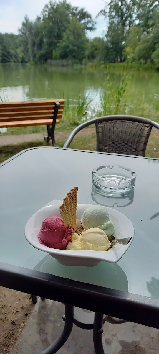 EISDIELE PFEFFERKUCHEN - Eis & Café am Schlossteich in Pulsnitz Photo 8