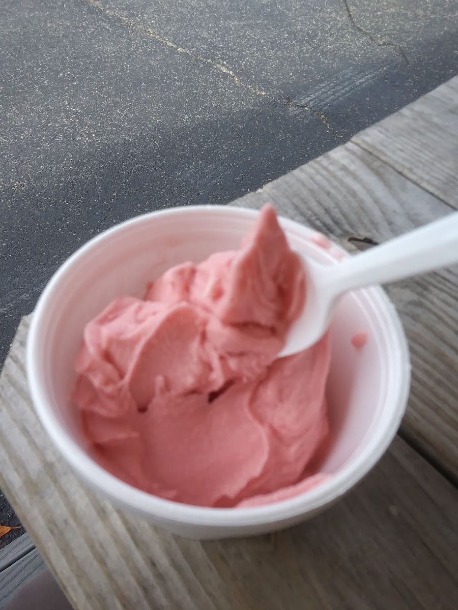 Nick Charlap’s Ice Cream Photo 10