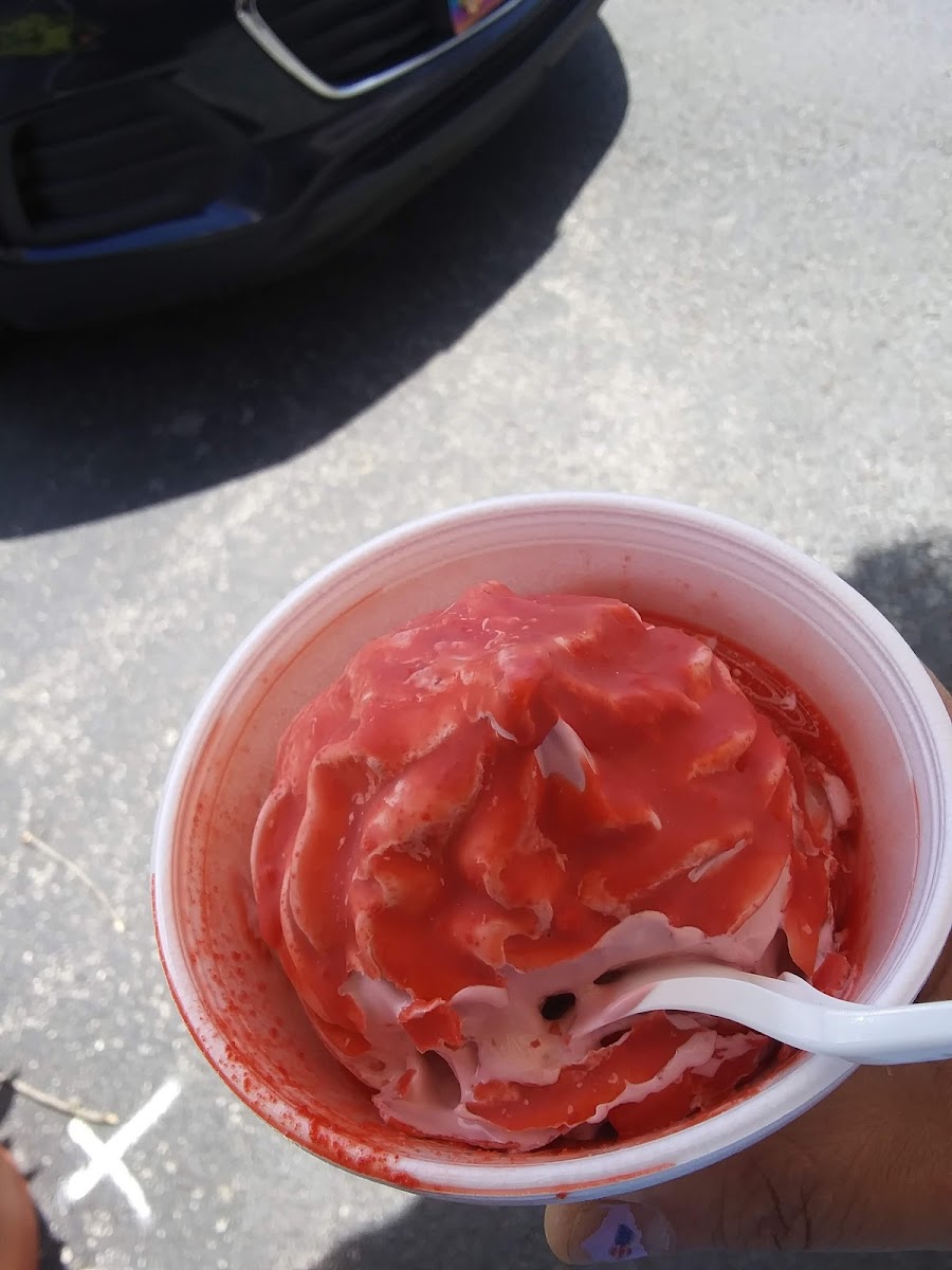 Nick Charlap’s Ice Cream Photo 9