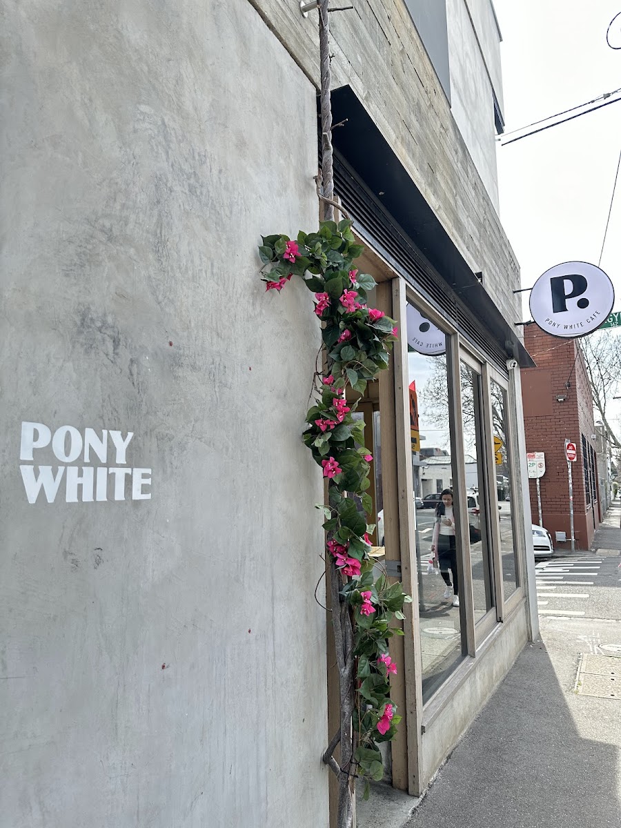 Pony White Photo 1
