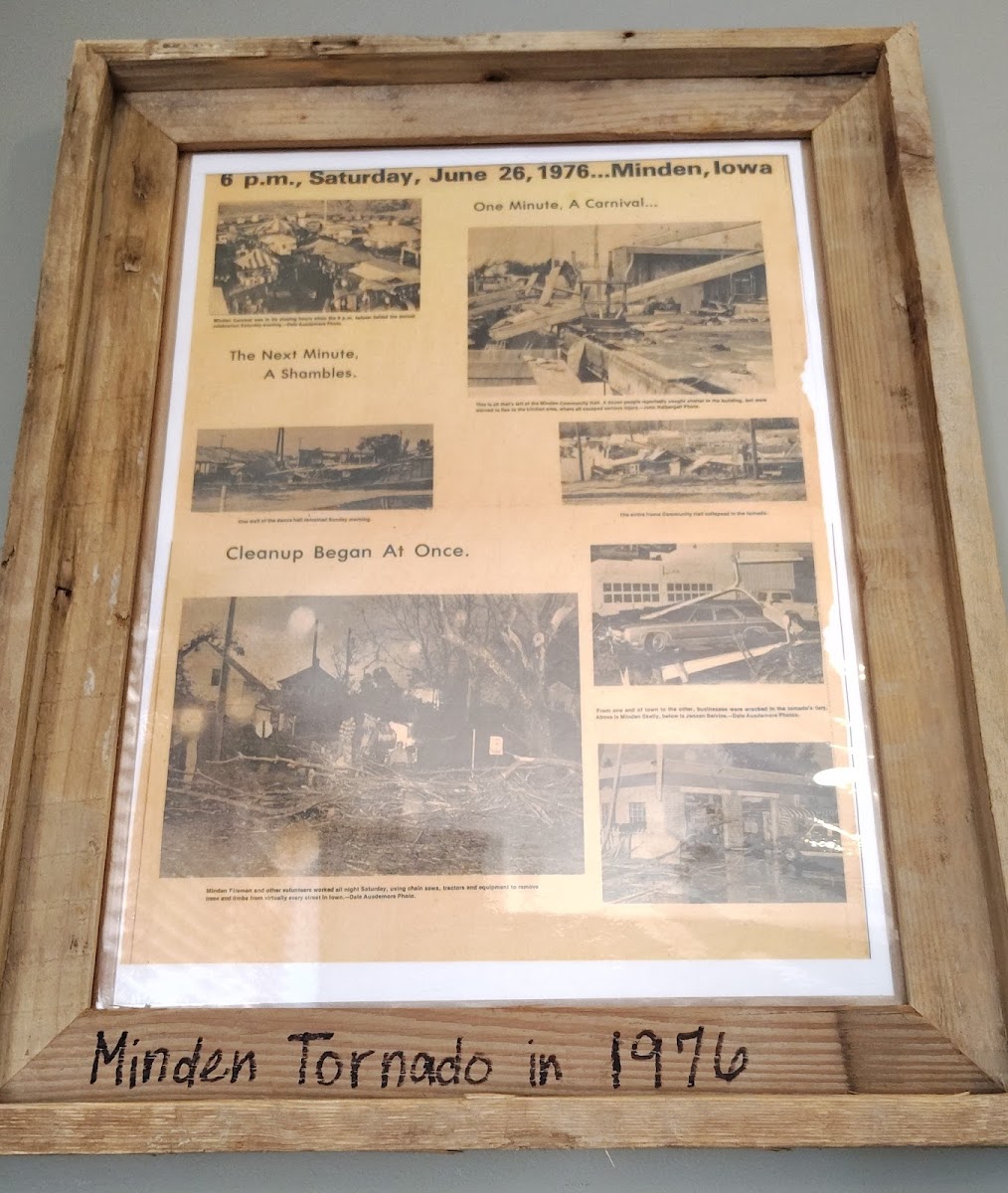 Minden Bowl Cafe Photo 4