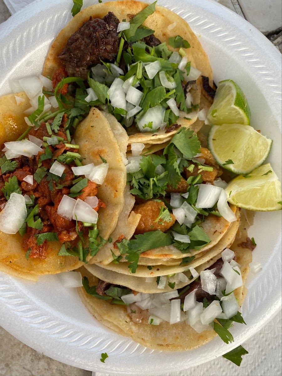 Taqueria DF Photo 3