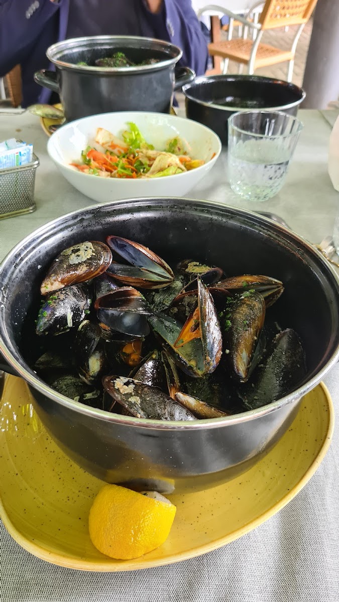 Trattoria alla Buona Vite Photo 8