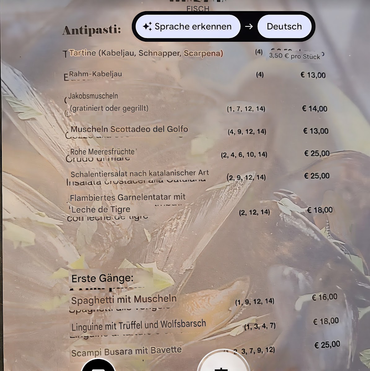 Mytilus Photo Menu 5