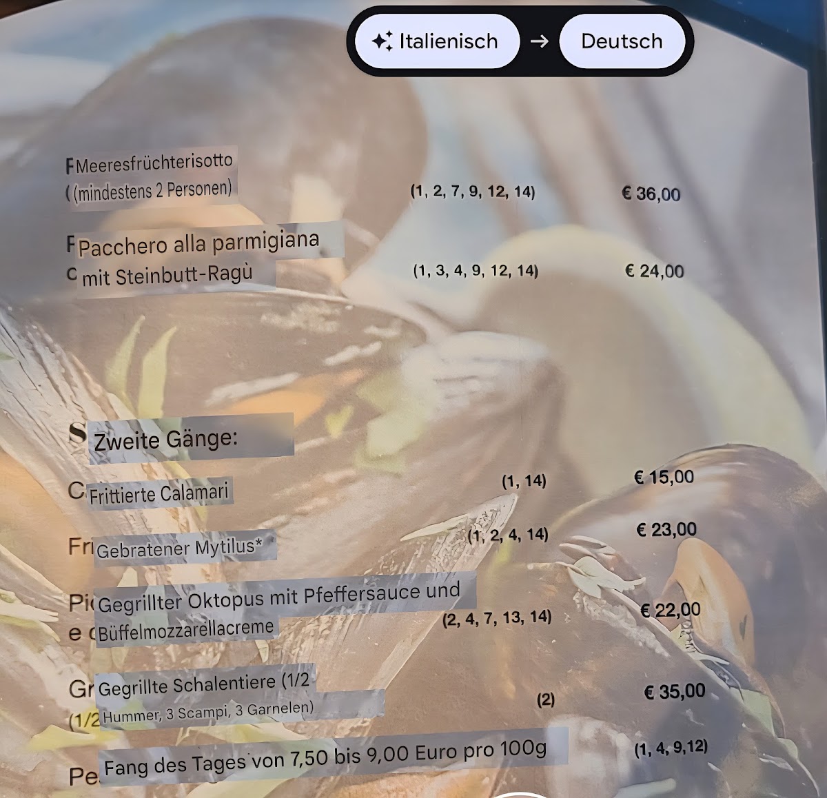 Mytilus Photo Menu 7