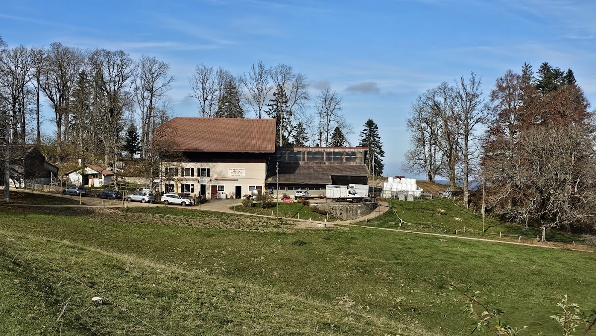 Restaurant de la Grébille, Bühler Gilles Photo 3