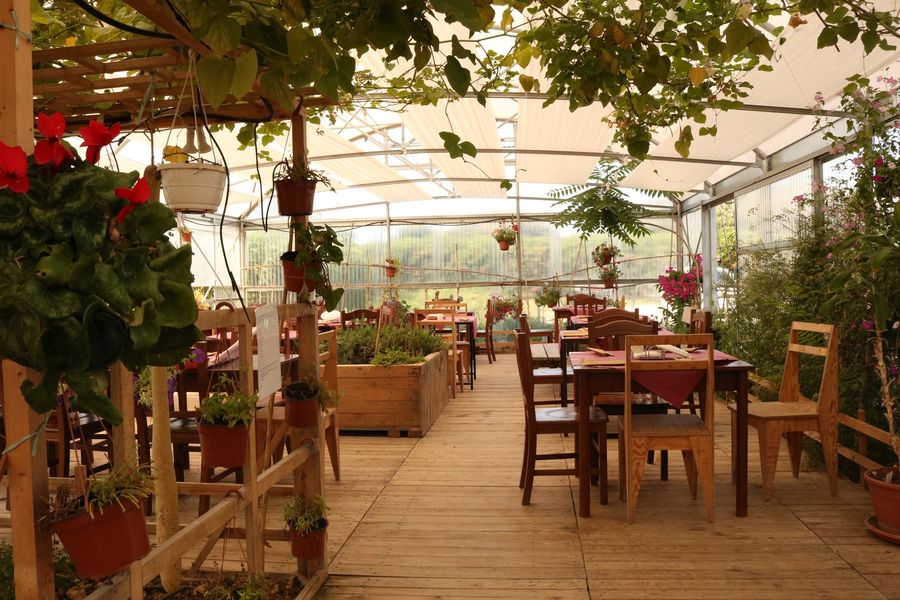 Solea Azienda Agricola