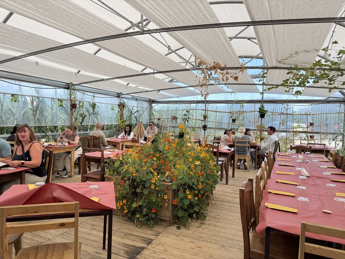 Solea Azienda Agricola Photo 3