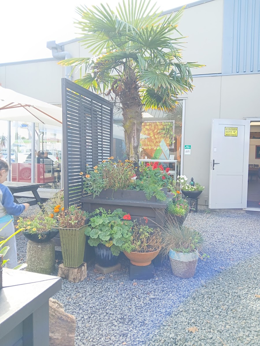 Cafe Ihalaam Photo 5