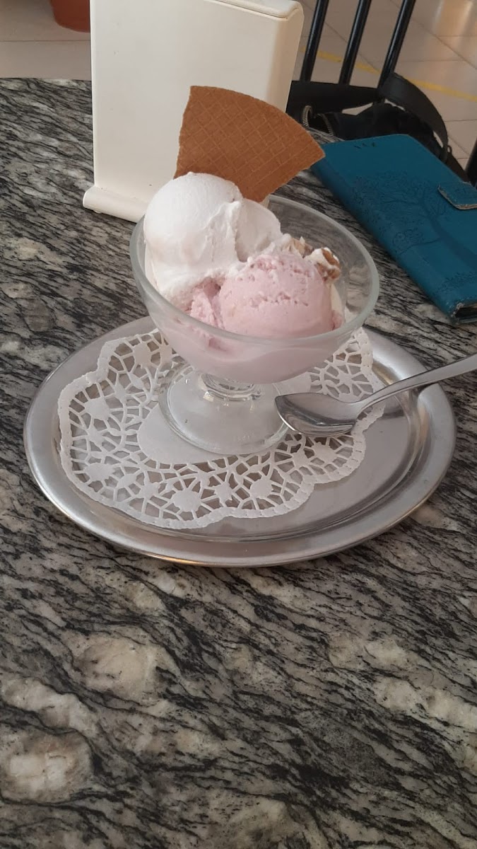 Gelateria La Limonaia Photo 8